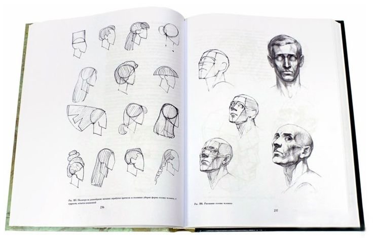 Книга основы академического рисунка Николай ли
