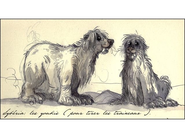 Бенуа Сокаль иллюстрации