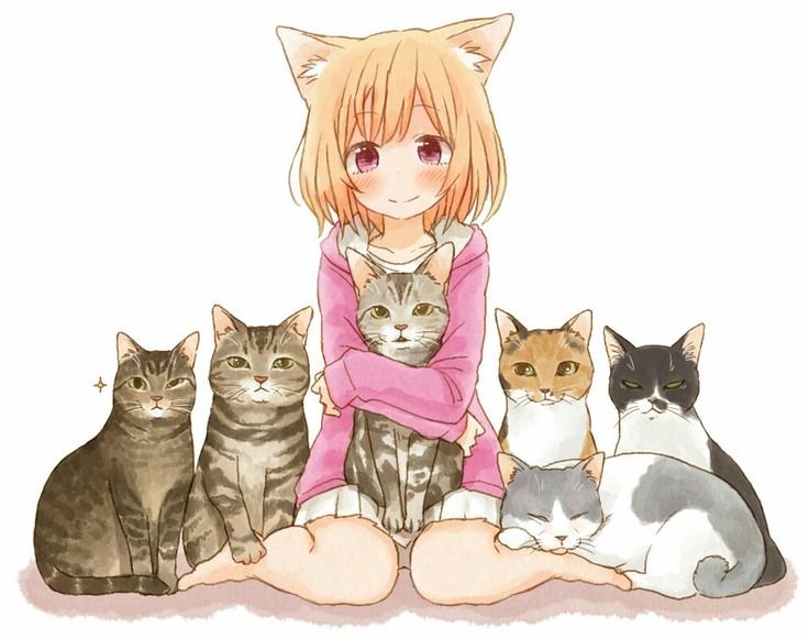 Аниме котики девушки