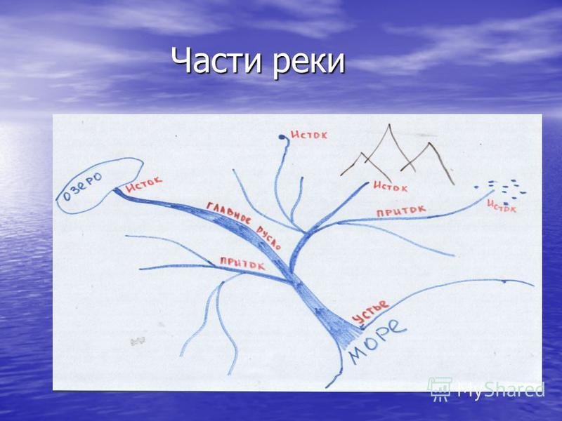 Река и ее части схема