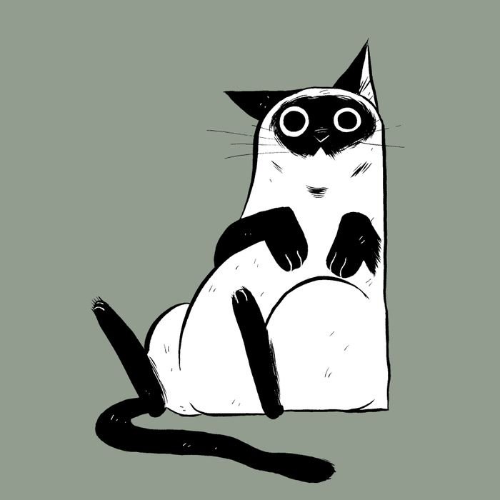Котик Графика