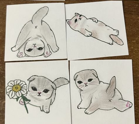 Самый милый котенок в мире
