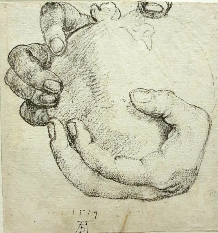 Альбрехт Дюрер картины руки