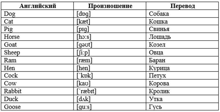 Животные по-английски с переводом