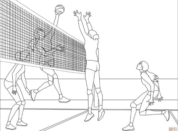 Рисунок на тему волейбол карандашом