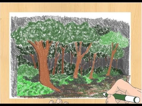 Рисунок леса