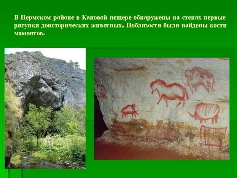 Наскальные рисунки Шульган Таш