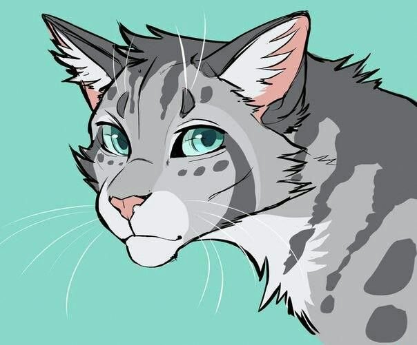 Коты воители красивые
