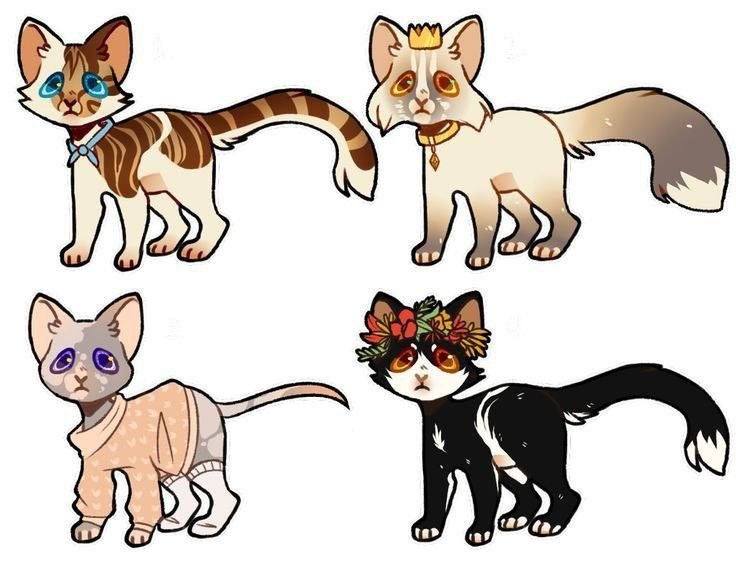 Коты Воители окрасы адопты