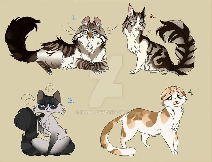 Коты Воители окрасы адопты