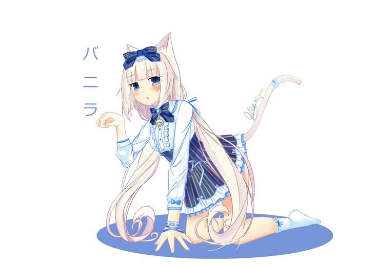 Nekopara арты