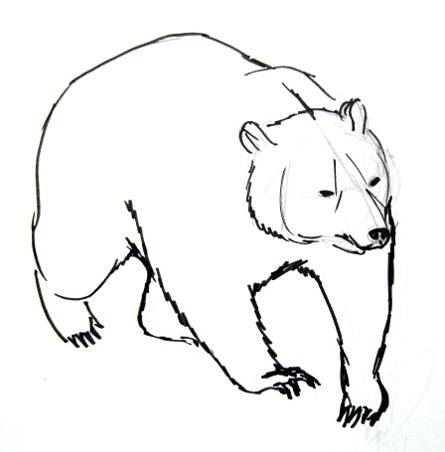 Рисование медведя