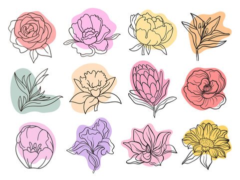 Vector Flower Set