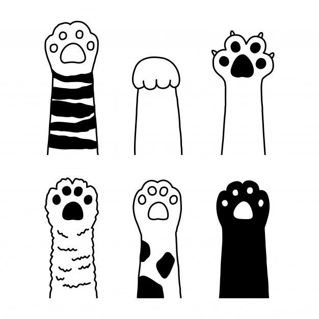 Кошачья лапка рисунок