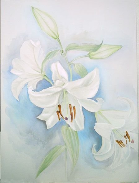 Лилии акварелью