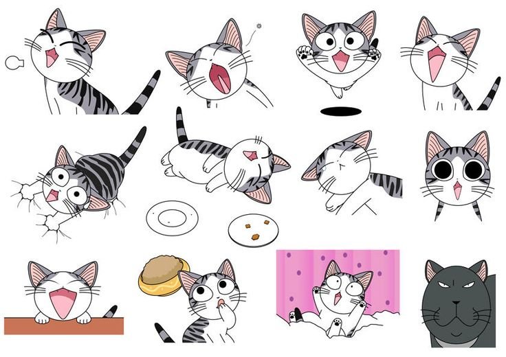 Аниме котики