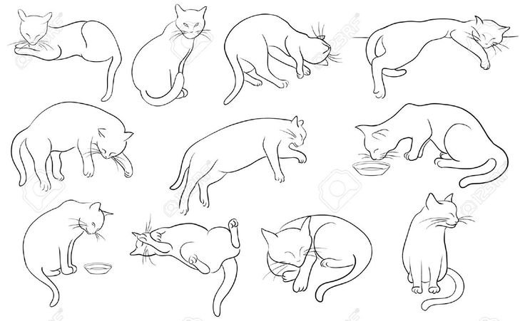 Лежачая кошка рисунок