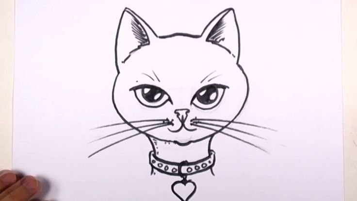 Рисунки для срисовки котики