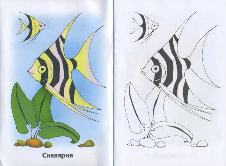Аквариумные рыбки рисование для детей