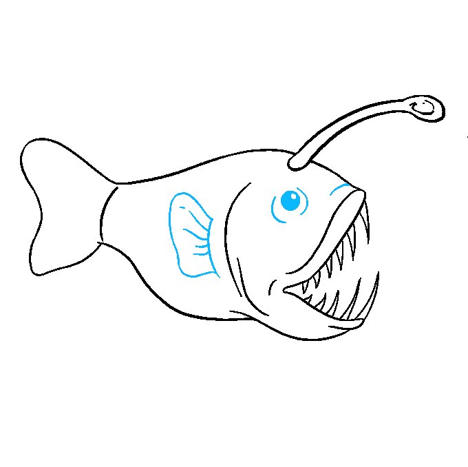 Fish draw