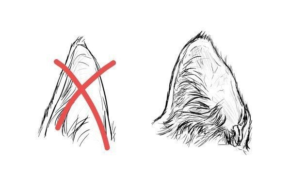 Рисование кошачьих ушей