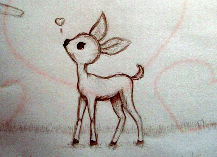 Рисунок оленя для срисовки