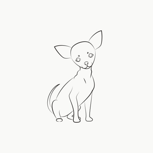 Той терьер рисунок карандашом