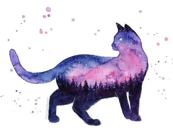 Космический кот