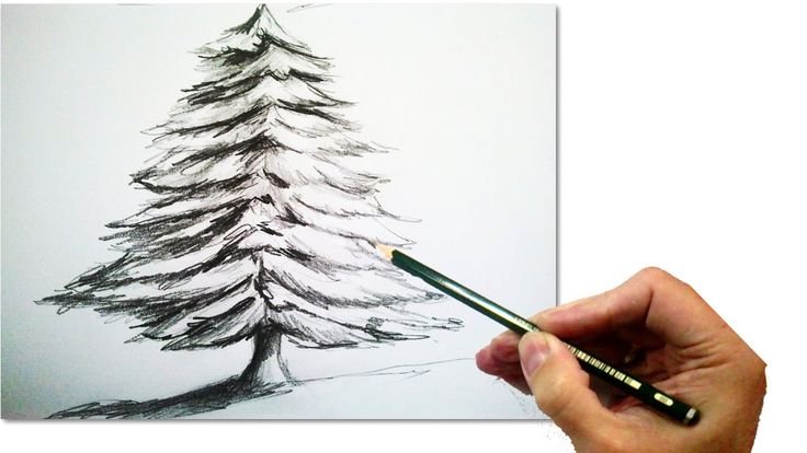 Елка для рисования