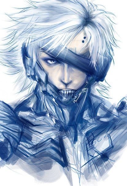 Raiden Metal Gear