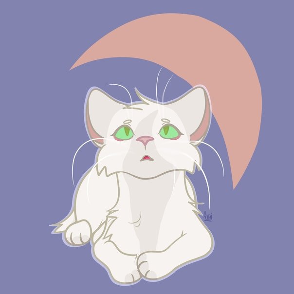 Коты Воители половинка Луны