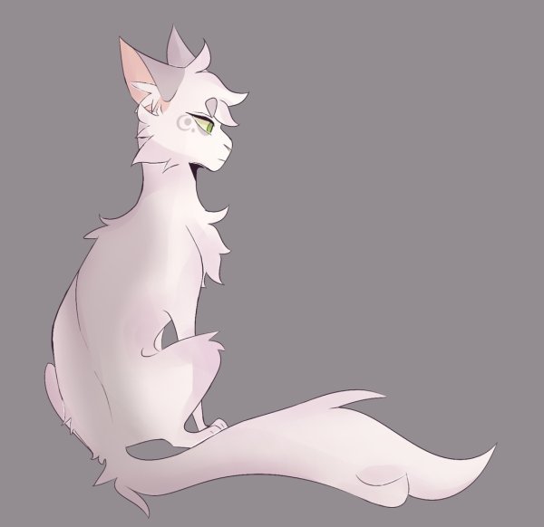 Коты Воители половинка Луны