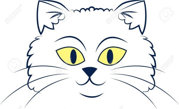 Морда котика