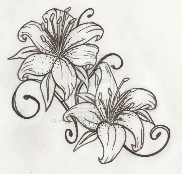 Рисунок цветов эскиз