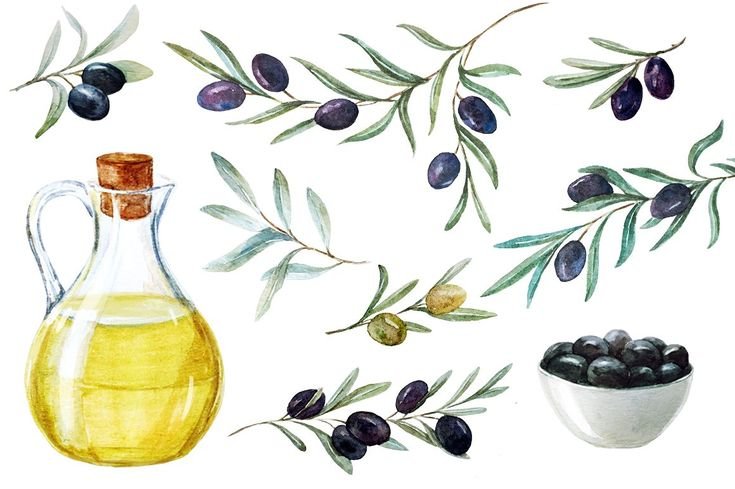 Оливки акварель