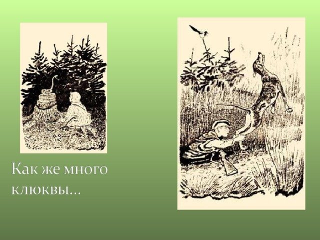 Кладовая солнца Пришвина