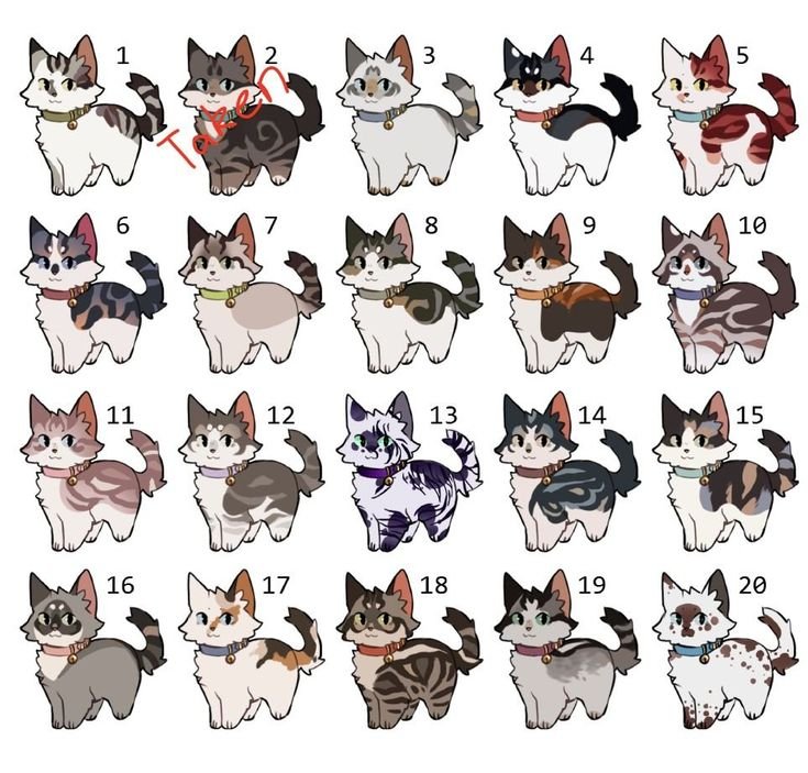 Коты Воители референс