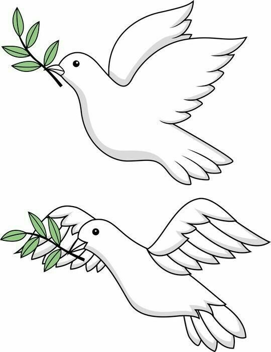 Голубь рисунок