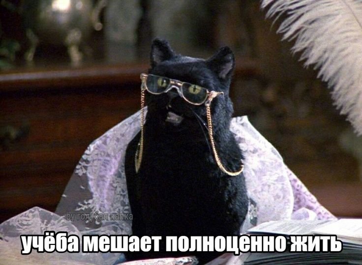 Салем Сабрина маленькая ведьма
