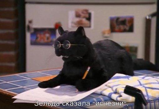 Кот Салем Сабрина