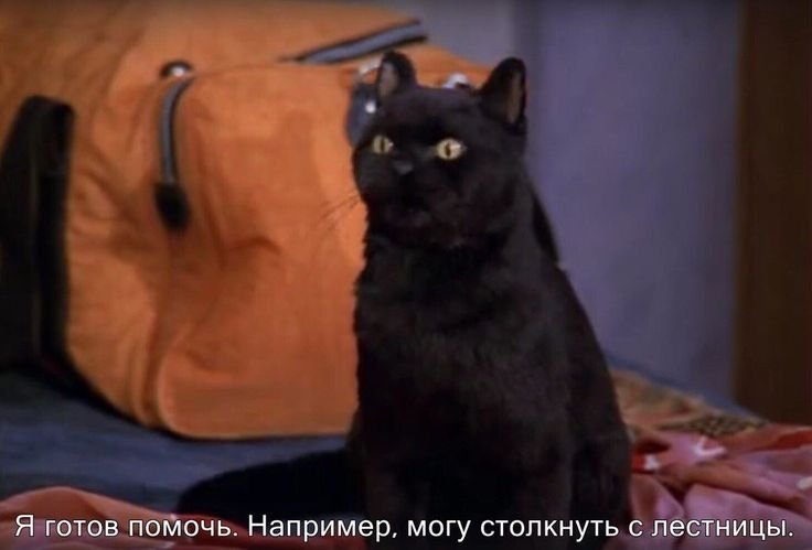 Салем Сабрина маленькая ведьма