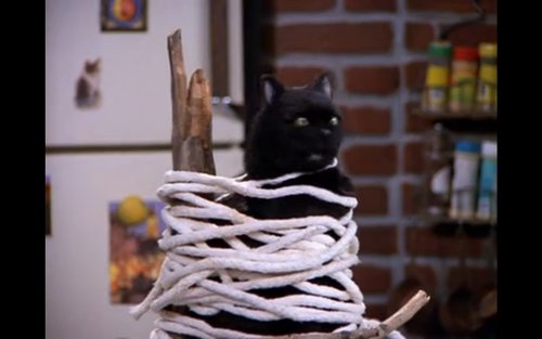 Кот Салем из Сабрины маленькой ведьмы