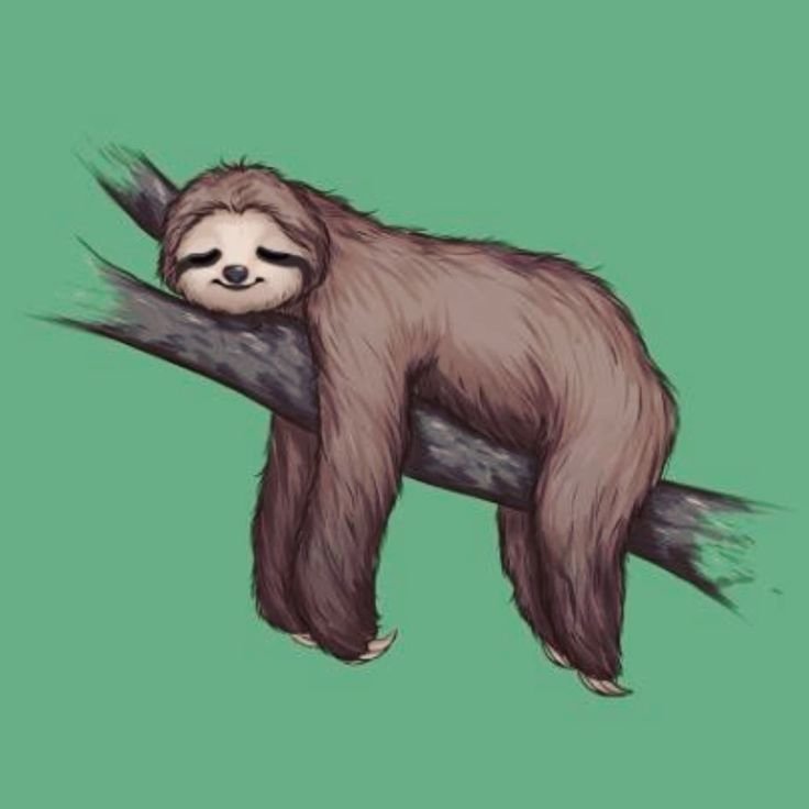 Ленивец Sloth