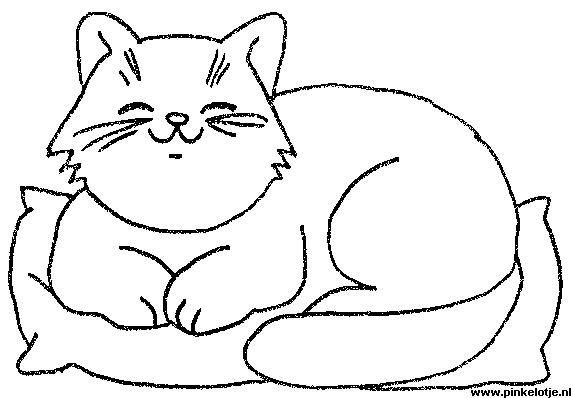 Раскраска коты