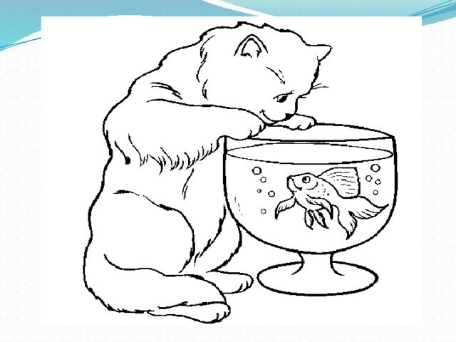 Котик с рыбкой раскраска