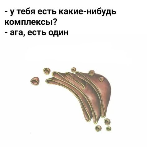 Комплекс Гольджи схематический рисунок