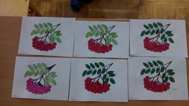 Рисование ягоды в средней группе