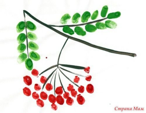 Рисование кисть рябины, гроздь калины