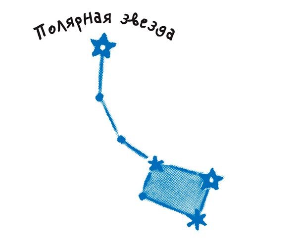 Созвездие большая и малая Медведица для детей