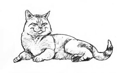 Лежачий кот рисунок